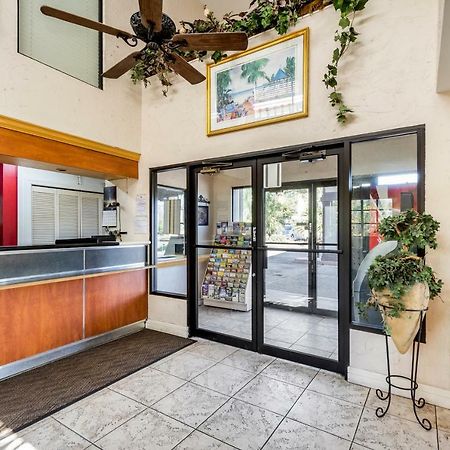 Econo Lodge Palm Harbor - Clearwater المظهر الخارجي الصورة