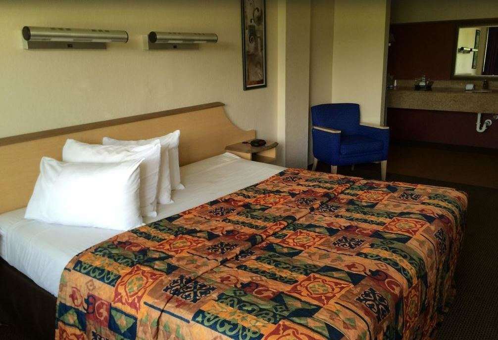 Econo Lodge Palm Harbor - Clearwater الغرفة الصورة